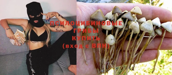 винт Богородицк